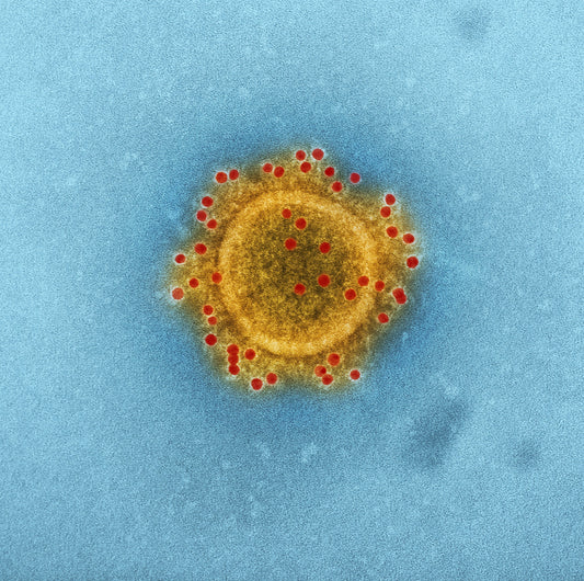 研究再次證實Benzalkonium Chloride與80%酒精含量的搓手液對甲型和乙型冠狀病毒的效果一致